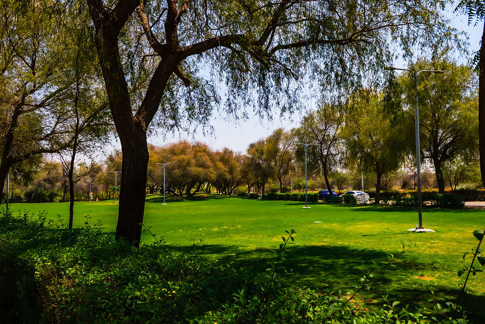 Mushrif park, Dubai city, UAE