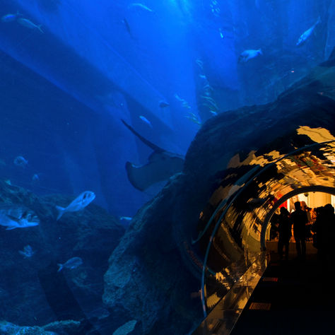Indoor Things to Do in Dubai This Summer: A Local's Guide