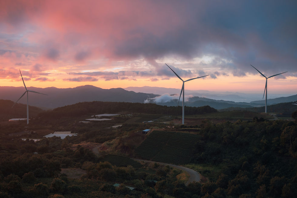 A serene sunrise scene from Cau Dat Tea Hill, overlooking layered mountains and quiet wind turbines.