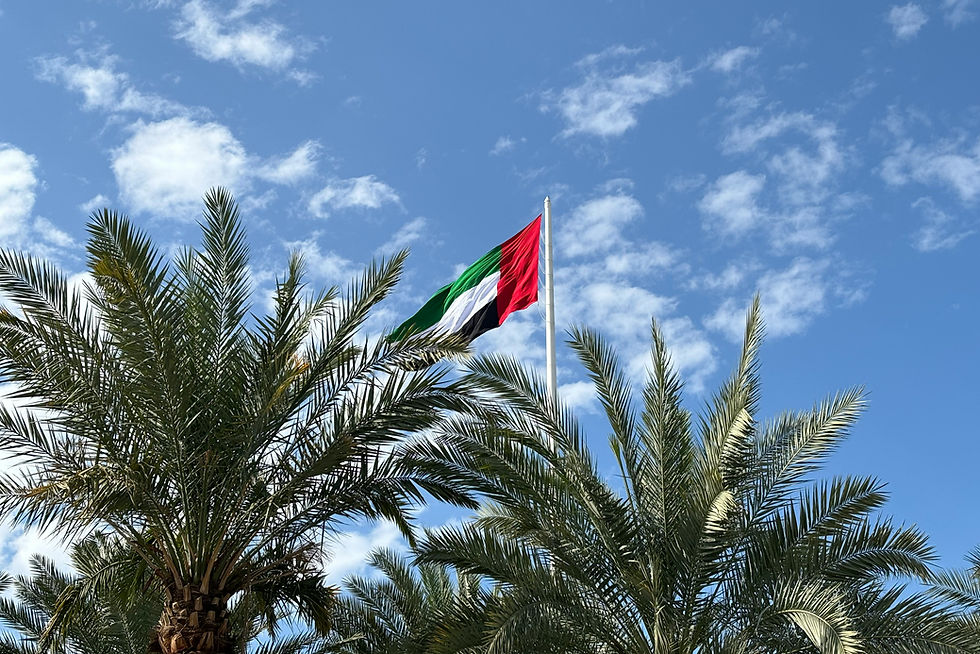 Flag of the United Arab Emirates in Dubai🇦🇪