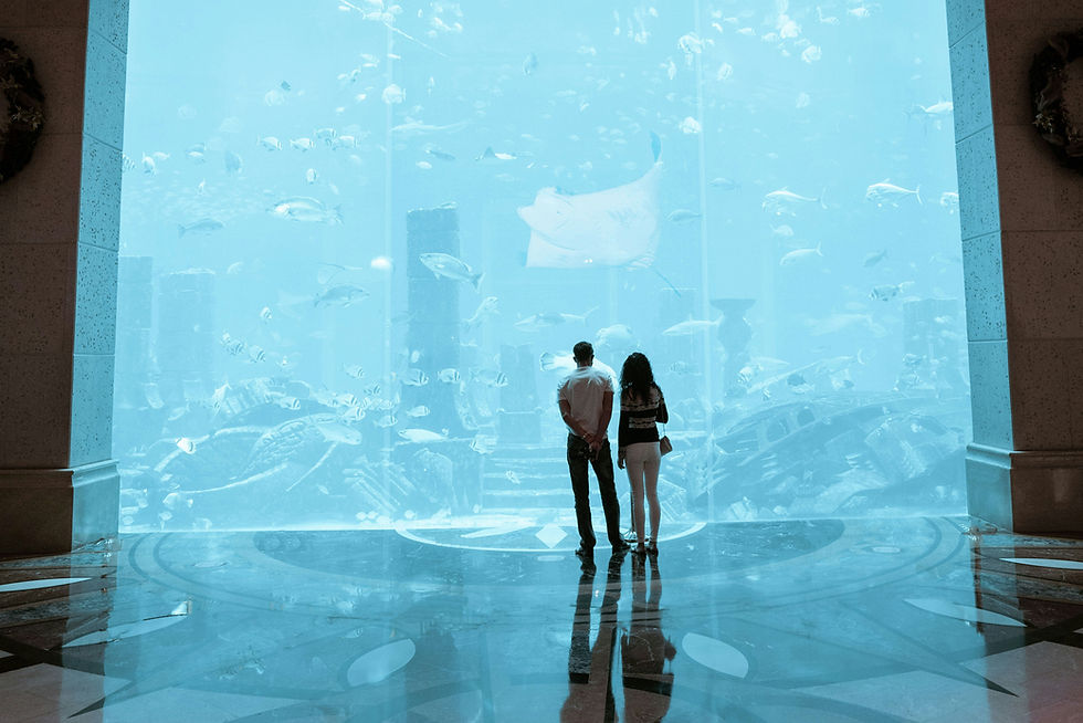 Dubai Mall Acquariam