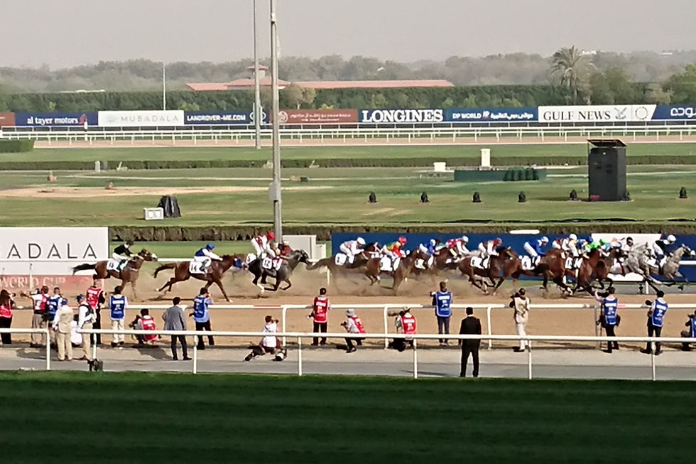 Meydan Racecourse, Nad Al Sheba — the Dubai World Cup venue anchoring Mohammed Bin Rashid City. Photo: Imadkayyali (CC B