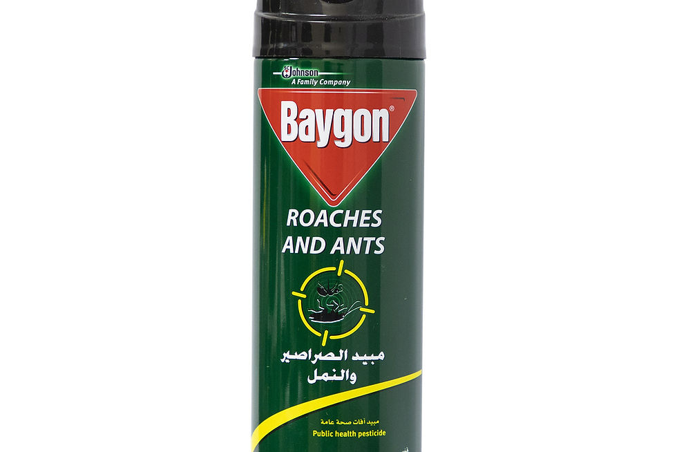 Baygon Roaches and Ant Killing Spray 300 ml Online at Best Price | Lulu UAE