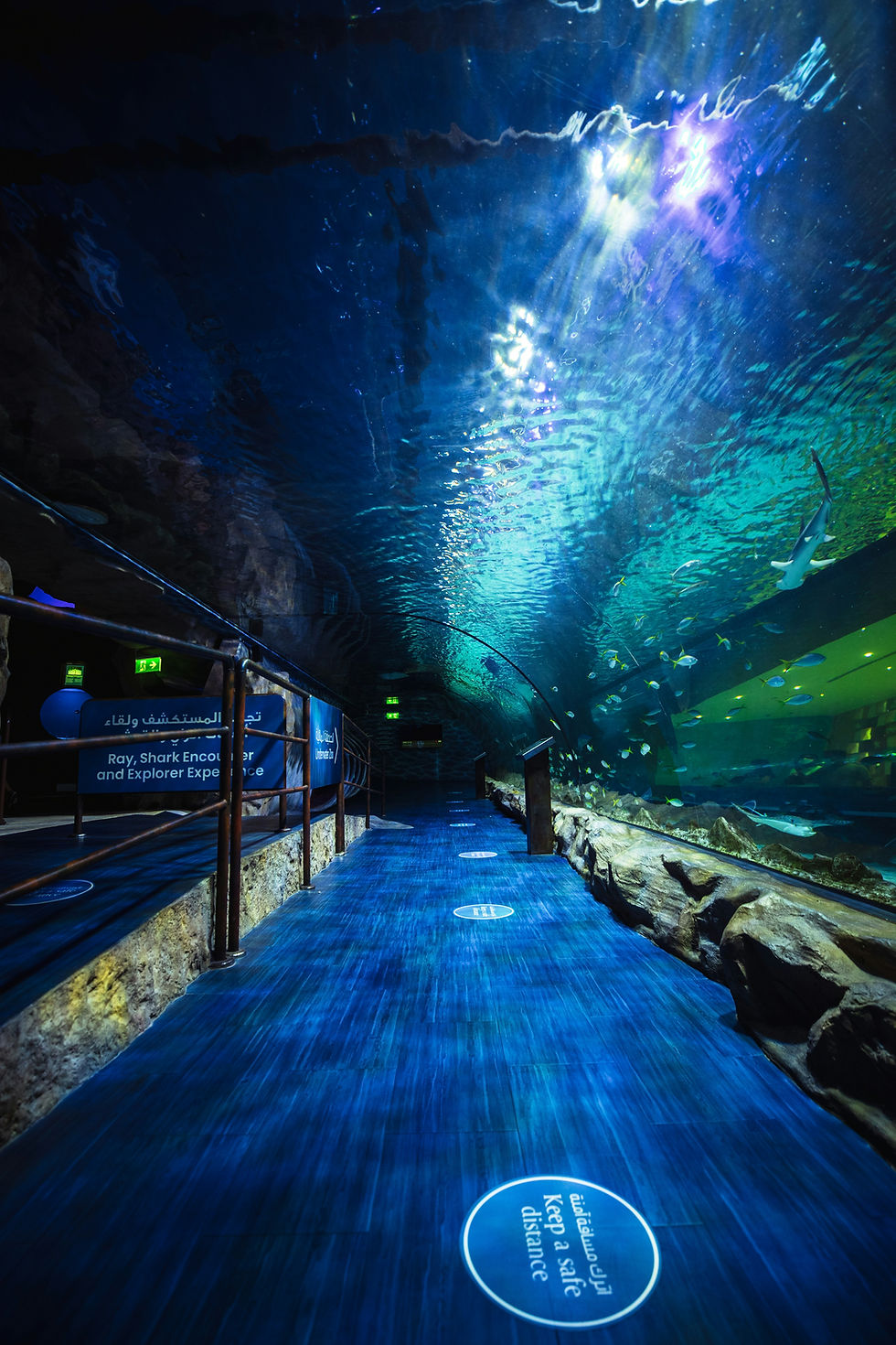 An underwater tunnel at a Dubai aquarium — the kind of cool, air-conditioned family attraction that makes Dubai summers genuinely fun. (Illustrative — not official Dubai Aquarium & Underwater Zoo media. Photo: Ameer Basheer via Unsplash.)