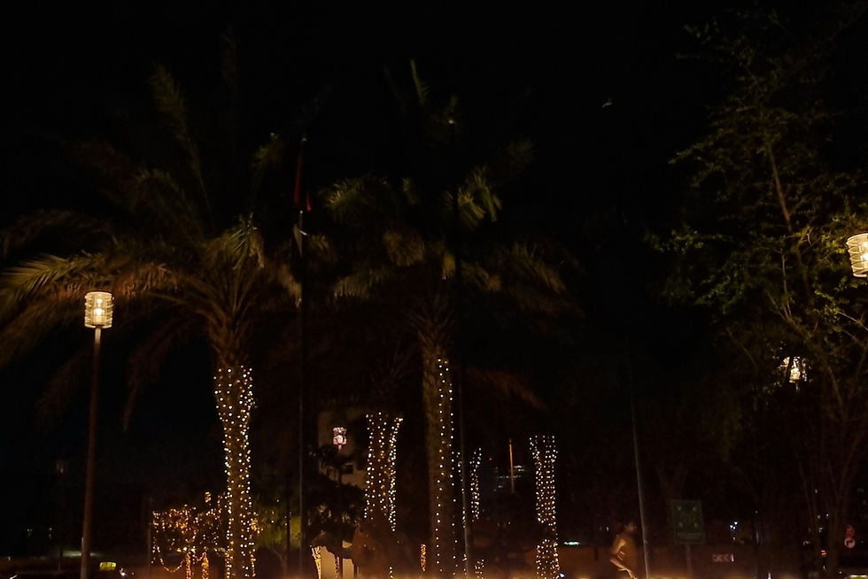 A lighted sign that reads alseeedubai
