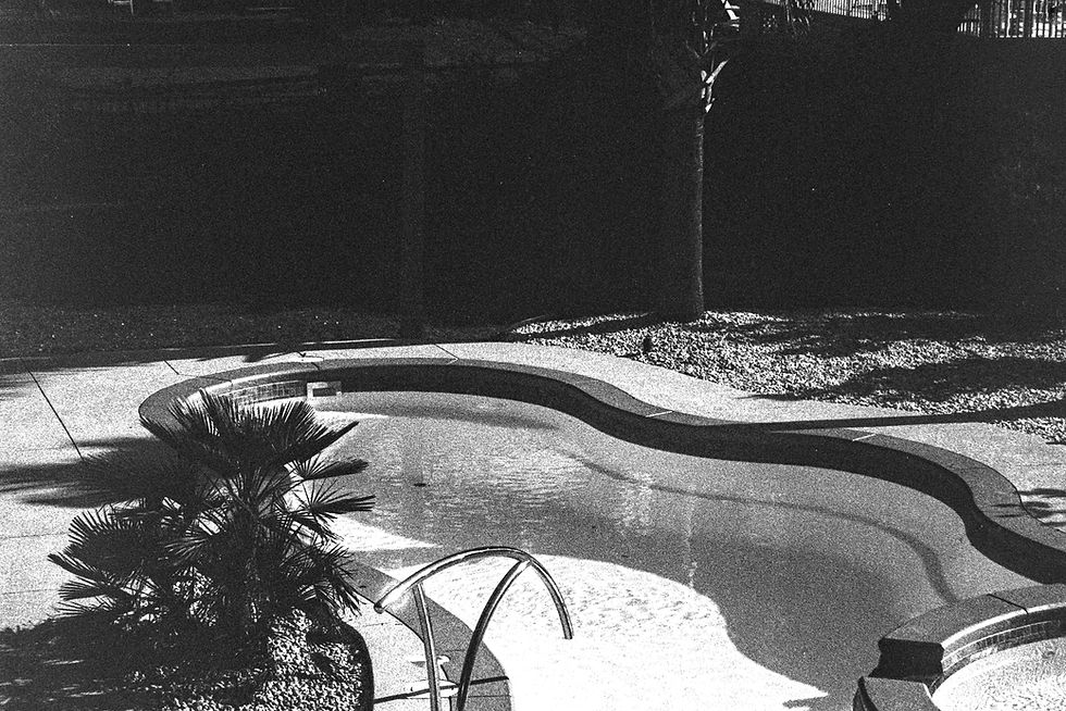 Empty kidney-shaped swimming pool in a backyard with palm trees.