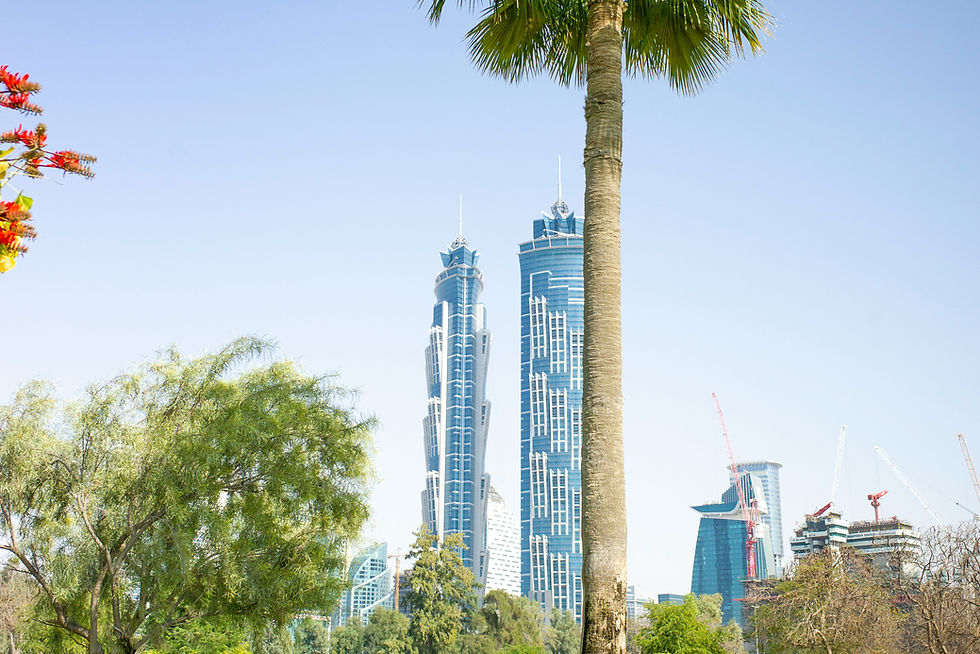 picnic in Dubai