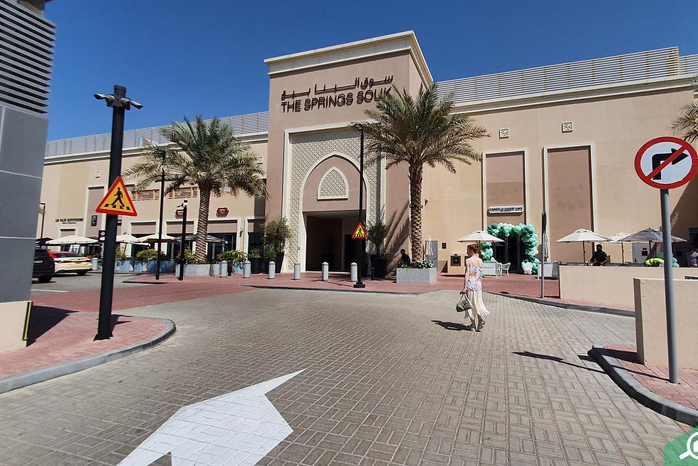 Springs Dubai | Complete Community Guide | Bayut
