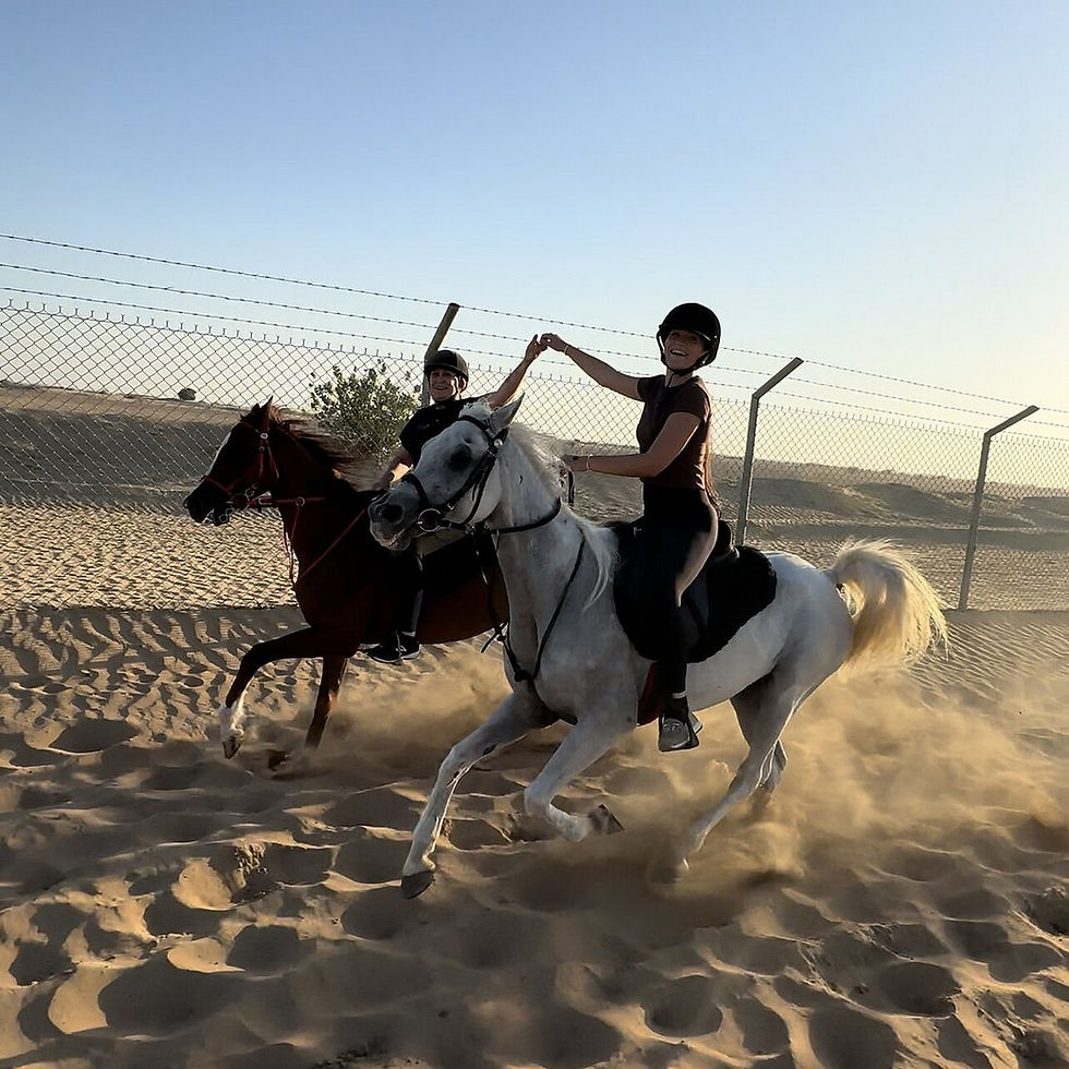 Equestrian Yoga in Dubai 2026: Desert Studios, Rates & Booking Guide