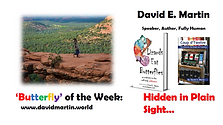 Dr. David Martin - 11 Jan 2021 - Hidden in Plain Sight - Legal Definitions per Covid19 Vaccines