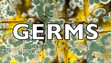 Germs Debunk Corona - The Best Explanation of Why Germ Theory is Total Nonsense!