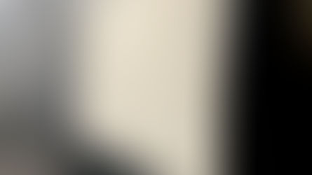 Product Focus: Light Wall for Conservation