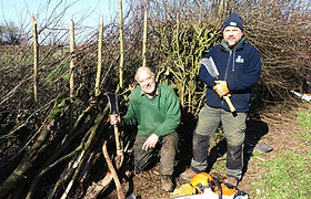 Jim Jones (standing) and Nigel Adams Hedgelaying