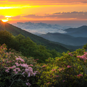 Understanding Emotional Shutdown vs Avoidance: Ajax Counselling