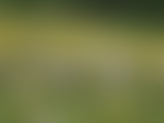 Understanding Discipline vs Punishment: Parenting Counselling Ajax