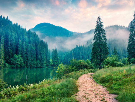 Understanding Child Anxiety and Child Counselling in Ajax