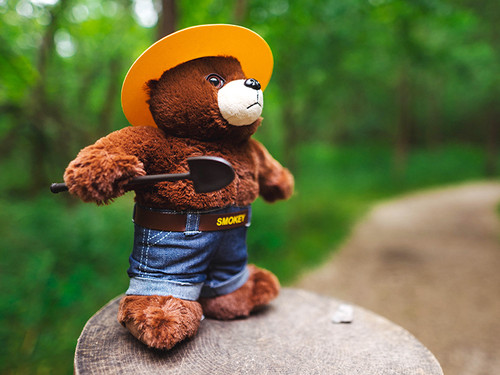 Plush Licensed Smokey Bear EducationOutdoorsP - Main Image