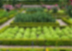 Französischer Garten