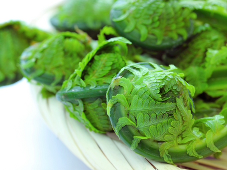 Kogomi 