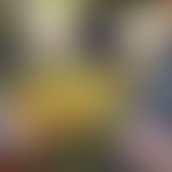 Eine weitere aufregende Woche im Wald