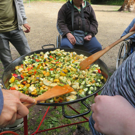 Eine weitere aufregende Woche im Wald