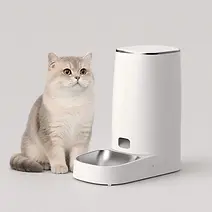 画板 2.png