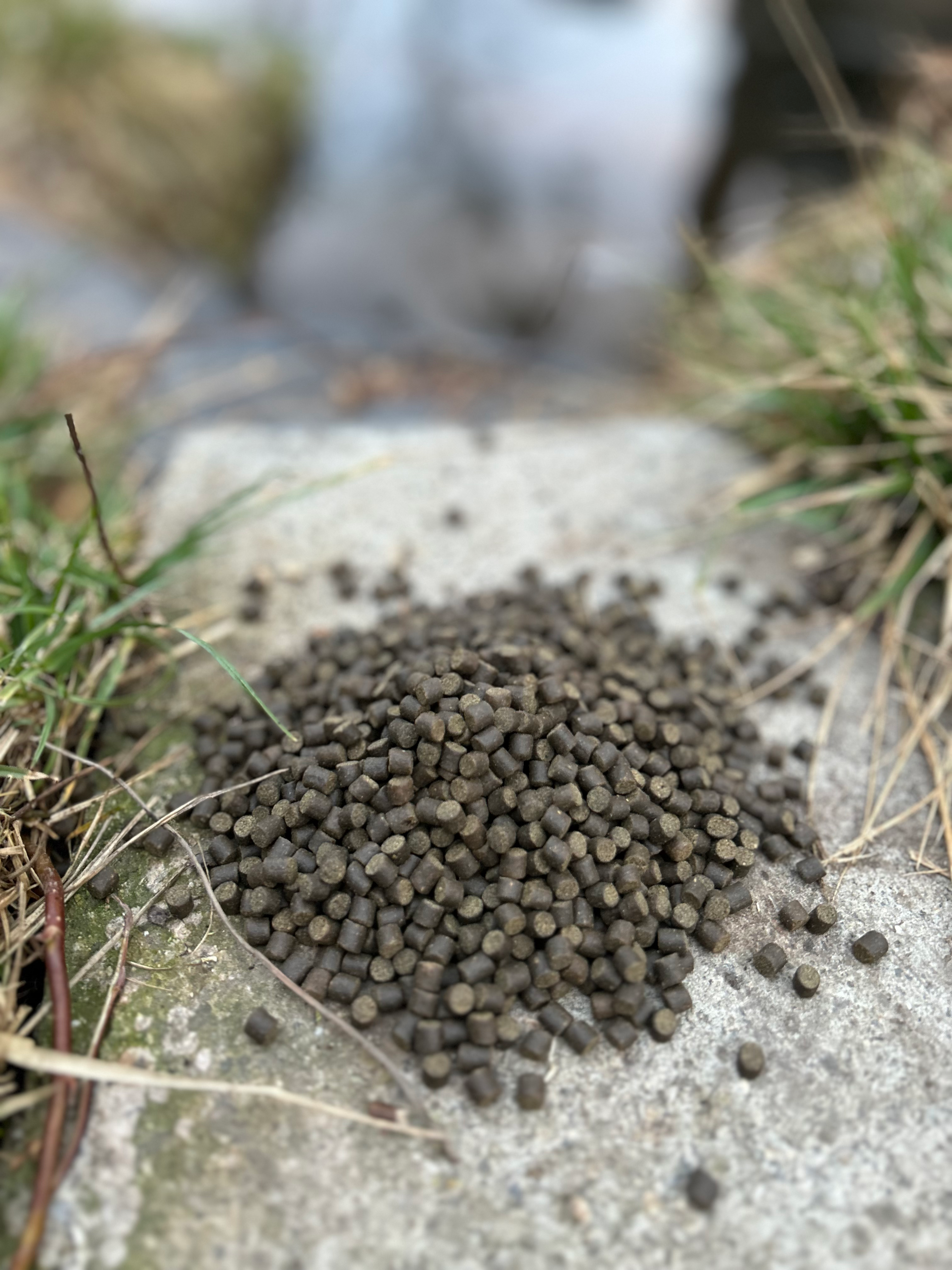 STURGEON GROWER 5 - 5,5 mm