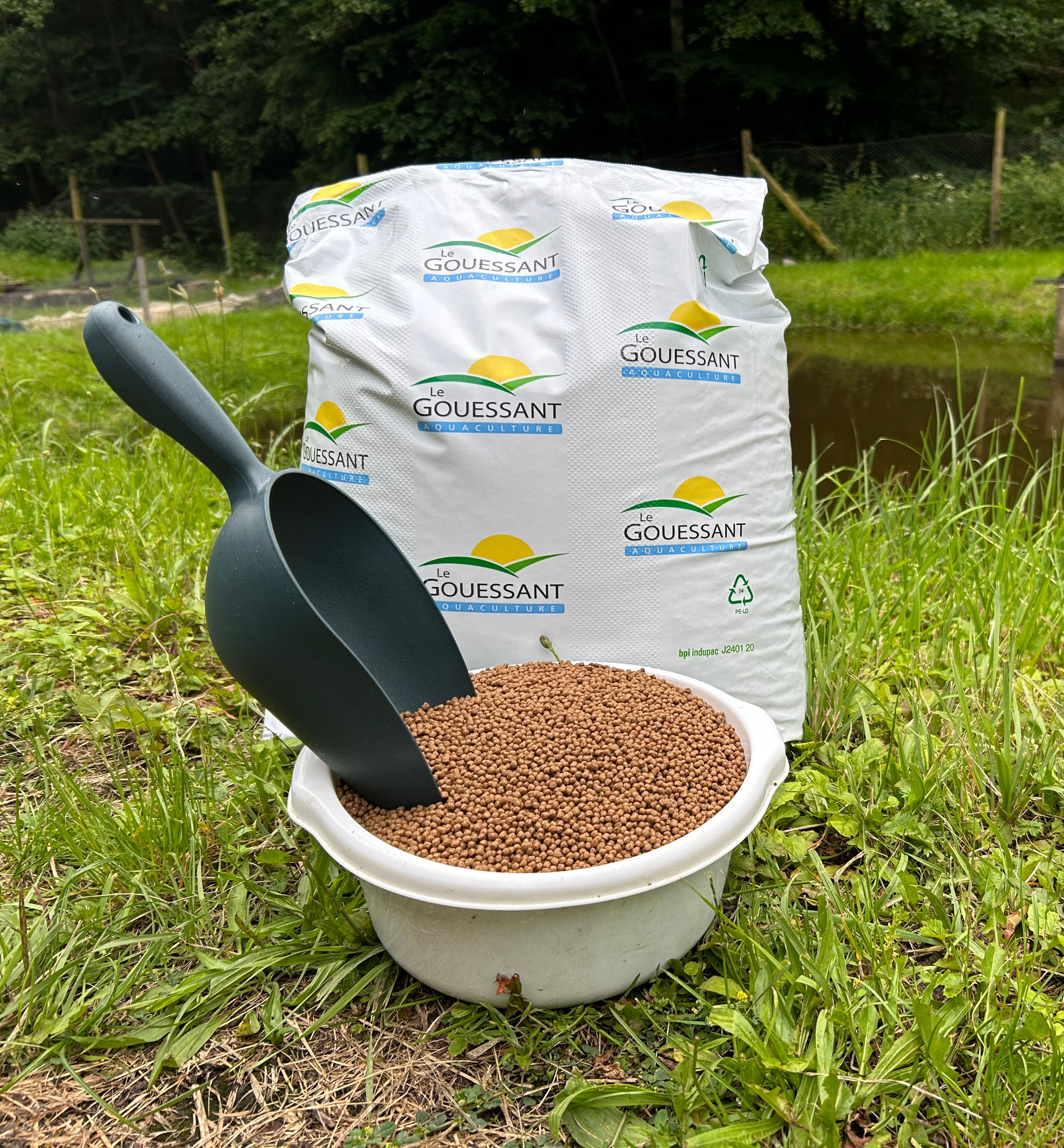 POISSON ORNEMENT 3 - 3,2  mm