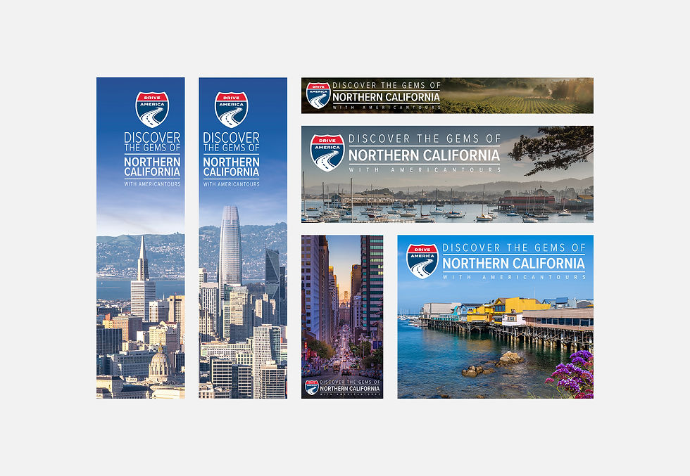 Digital Campaigns