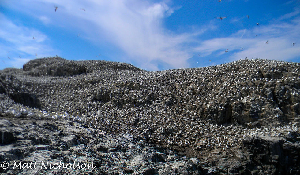GH082014-206.jpg