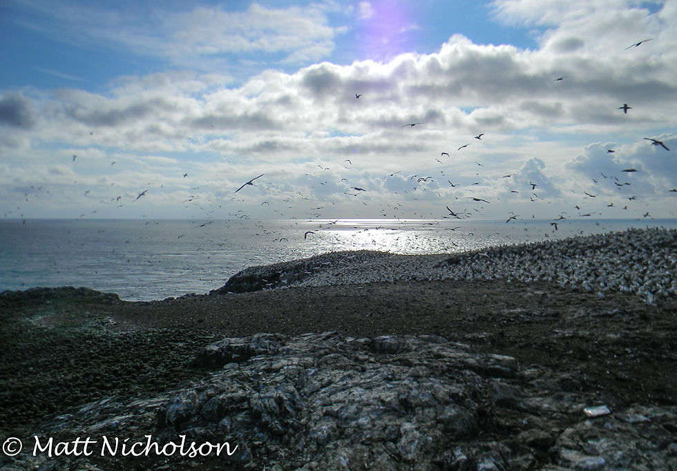 GH082014-259.jpg
