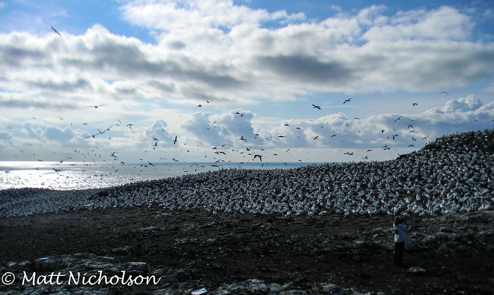 GH082014-258.jpg
