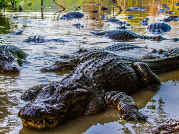 Is Your Sales Playbook Built for a Market That No Longer Exists?