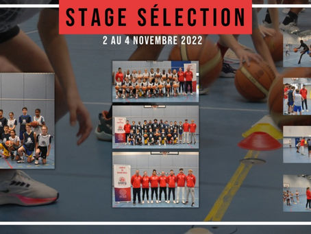 STAGE SELECTION