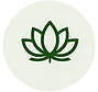 praxisnah icon_edited.png