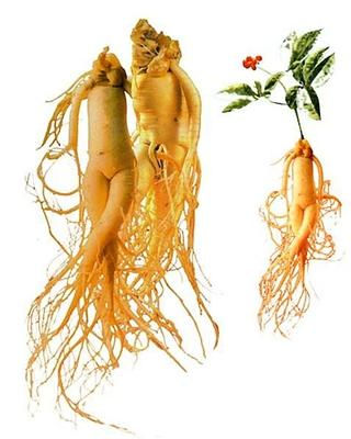Ginseng Vermelho Koreano Legítimo