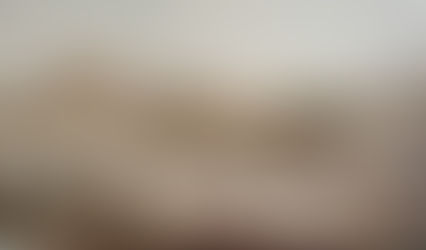 Sociedade Carioca do século XIX