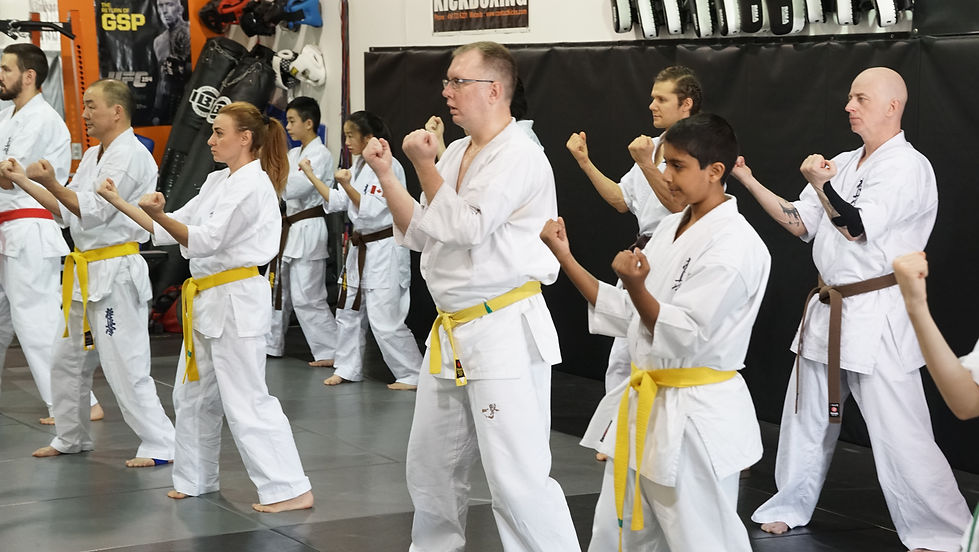 Karate Testing