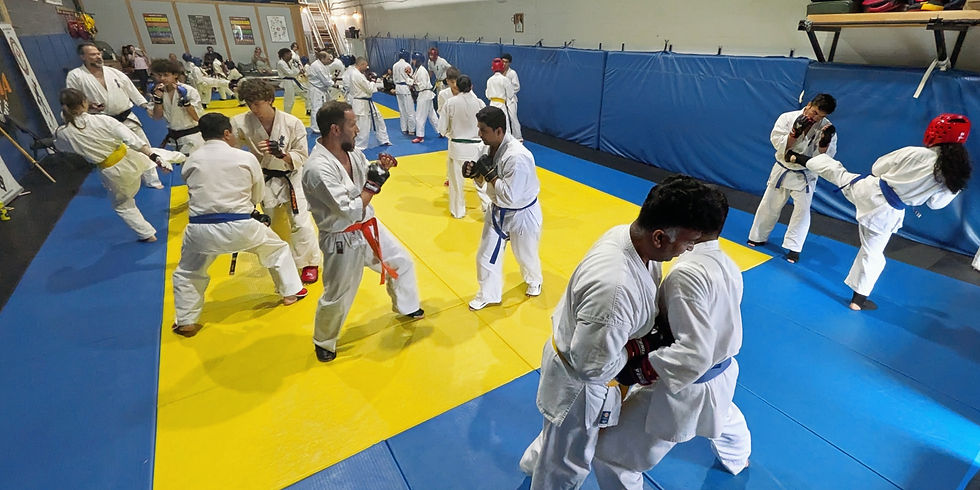 Mississauga Dojo Sparring Session