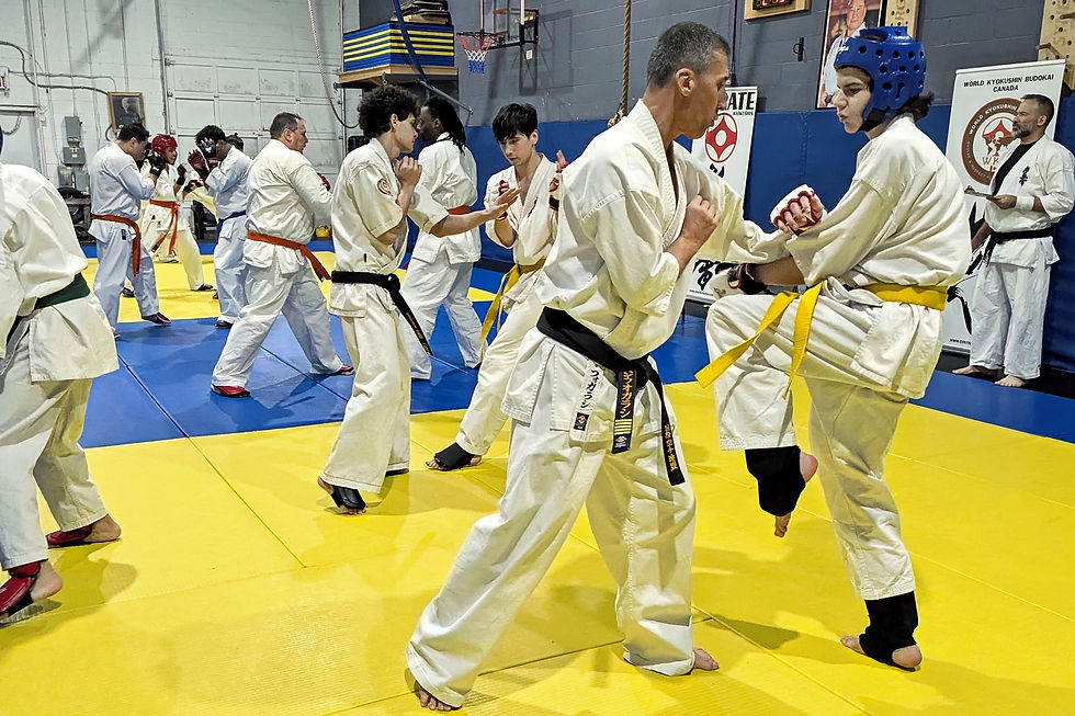 Somewhere around ten kumite - Mississauga Dojo
