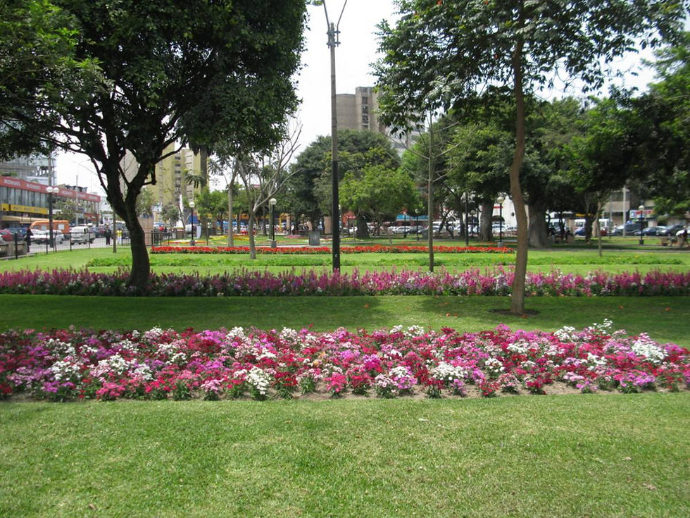 Inside the park