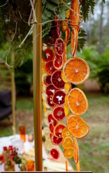 Screenshot_24-3-2026_25721_www.instagram.com