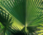2059846020_83e2f090d8_c_edited.jpg