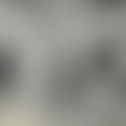 Jovens do Bochófilo. Uma descoberta. E uma história. Zampol, o governador... ...e o IV Centenário.