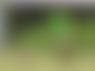 Perto da estreia, Pedro Carrerette fala sobre preparação do São Bernardo FC