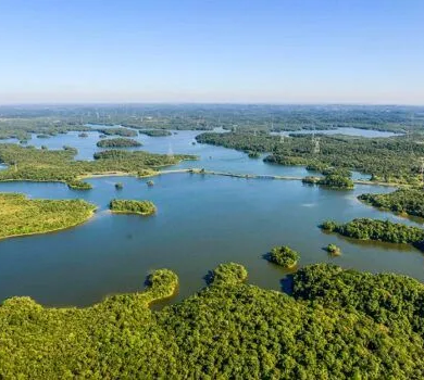 Billings 100 Anos: Cine Represa Abre Celebração Histórica em São Bernardo