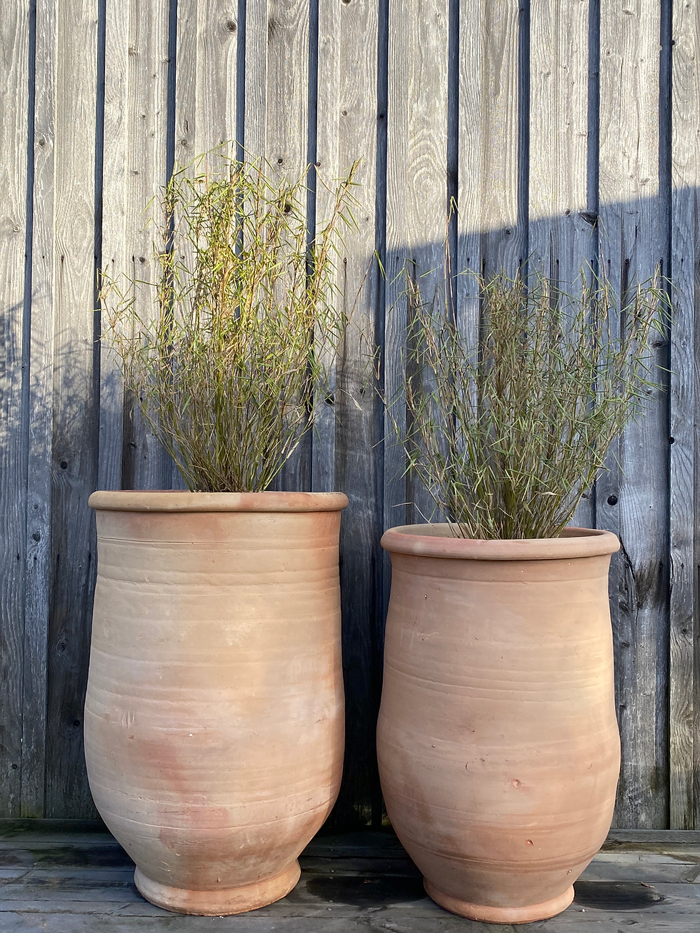 Miniatura: Kruka Casablanca