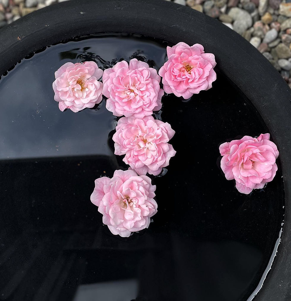 Pikkukuva: Fat/ fågel bad