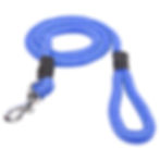 Dog Rope Leash