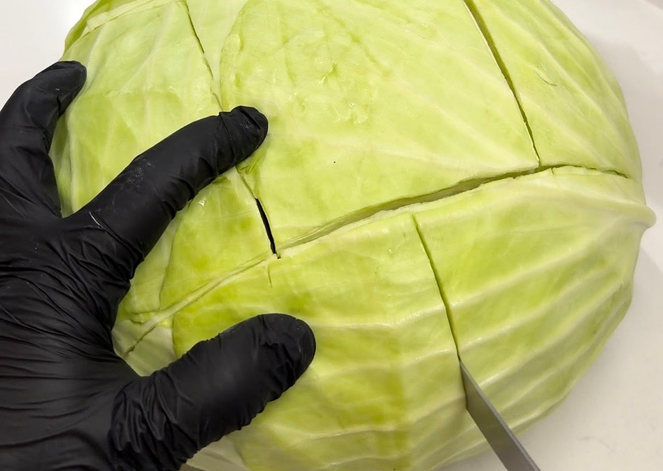 Stuffed Cabbage Rolls